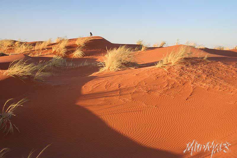 Mud Maps Africa Namibia 1459